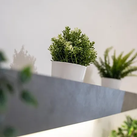 Dietro Al Plebiscito Luxury Apartment *